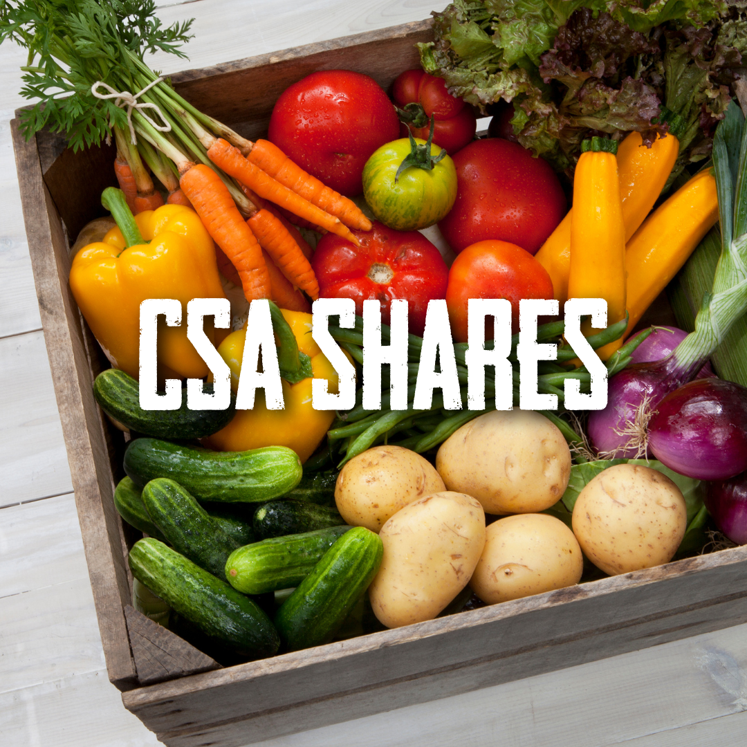 CSA Shares Weekly CSA Shares, delivered to your door